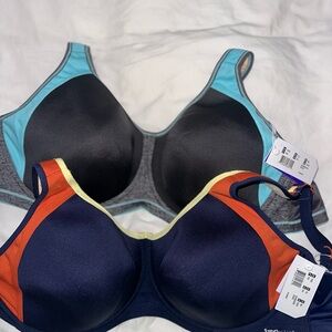 Freya Black and Blue Sports Bras